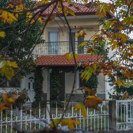 Woods Cottage Loutra Pozar Aridaia Megaplatanos Kültér fotó