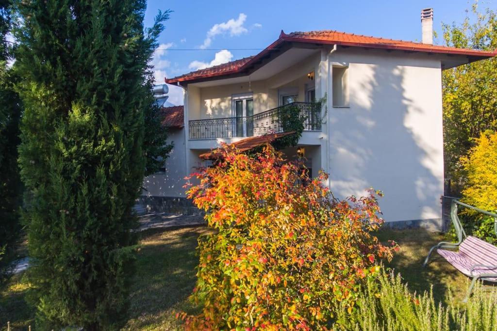 Woods Cottage Loutra Pozar Aridaia Megaplatanos Kültér fotó