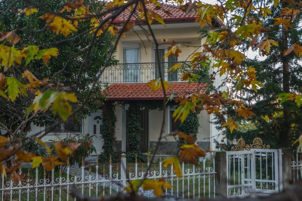 Woods Cottage Loutra Pozar Aridaia Megaplatanos Kültér fotó