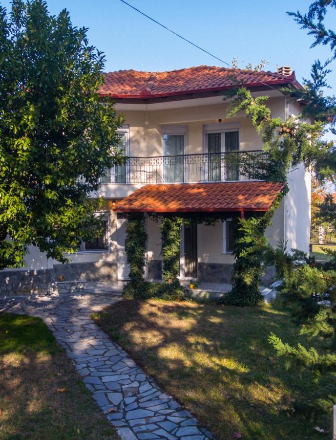 Woods Cottage Loutra Pozar Aridaia Megaplatanos Kültér fotó